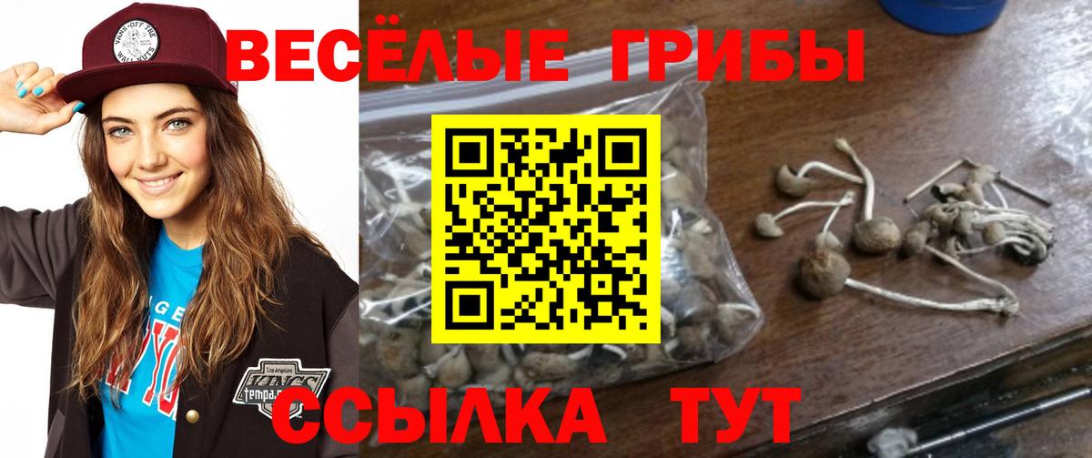 Псилоцибиновые грибы GOLDEN TEACHER  Вход с VPN  Зерноград  Галлюциногенные грибы Magic Shrooms 